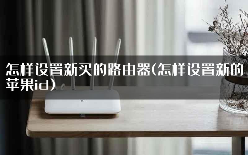 怎样设置新买的路由器(怎样设置新的苹果id)