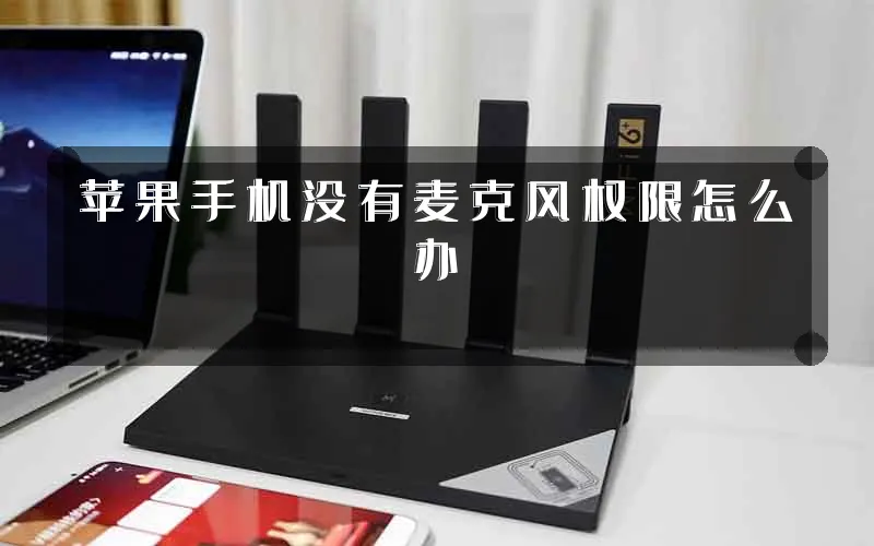 苹果手机没有麦克风权限怎么办