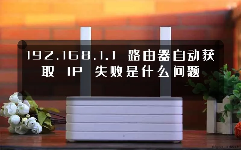 192.168.1.1 路由器自动获取 IP 失败是什么问题