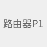 路由器P1