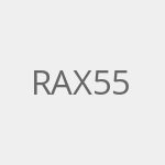 RT-AX55