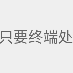 只要终端处于同一局域网
