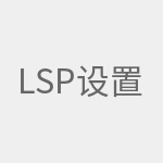 LSP设置